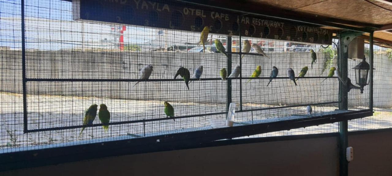 Grand Yayla Hotel Cesme Ngoại thất bức ảnh