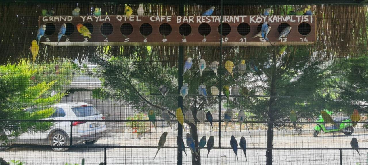 Grand Yayla Hotel Cesme Ngoại thất bức ảnh